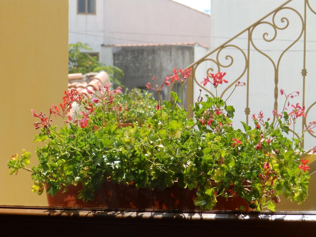 Sa Chessa B&B Ploaghe Exterior photo